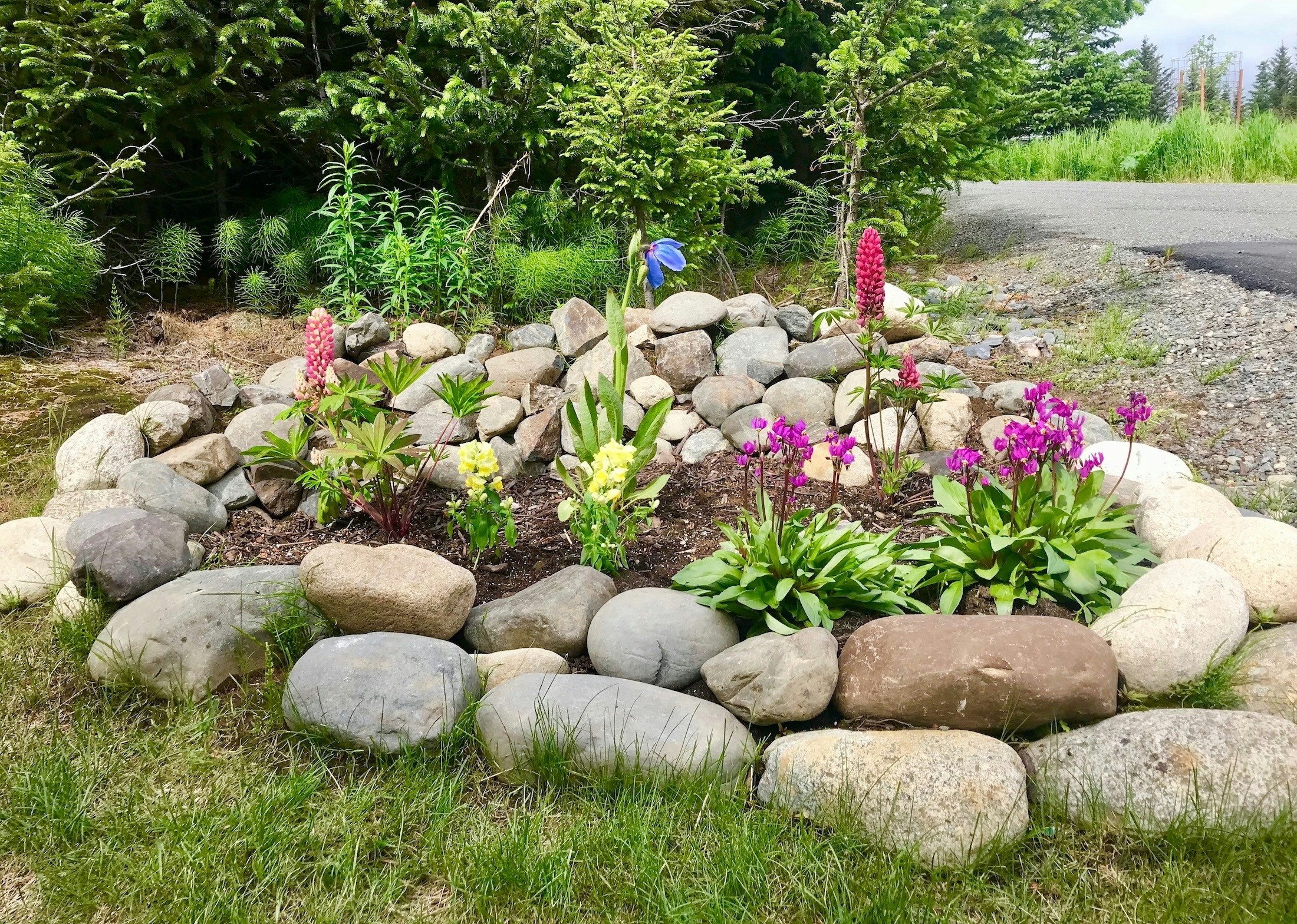Small garden with colorful flowers with a perimeter of rocks