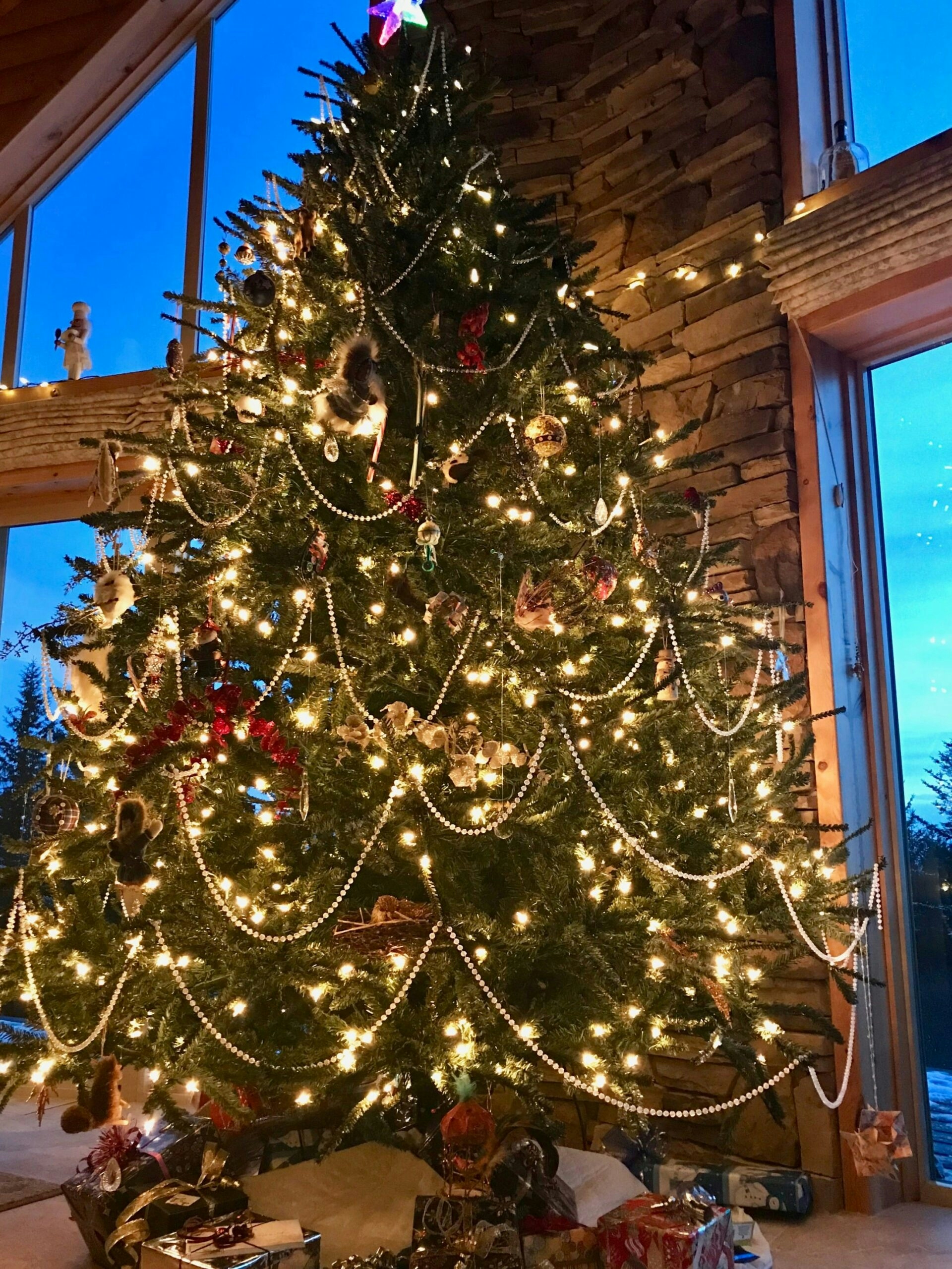 Large Christmas tree adorned with ornaments and lights in front of a window