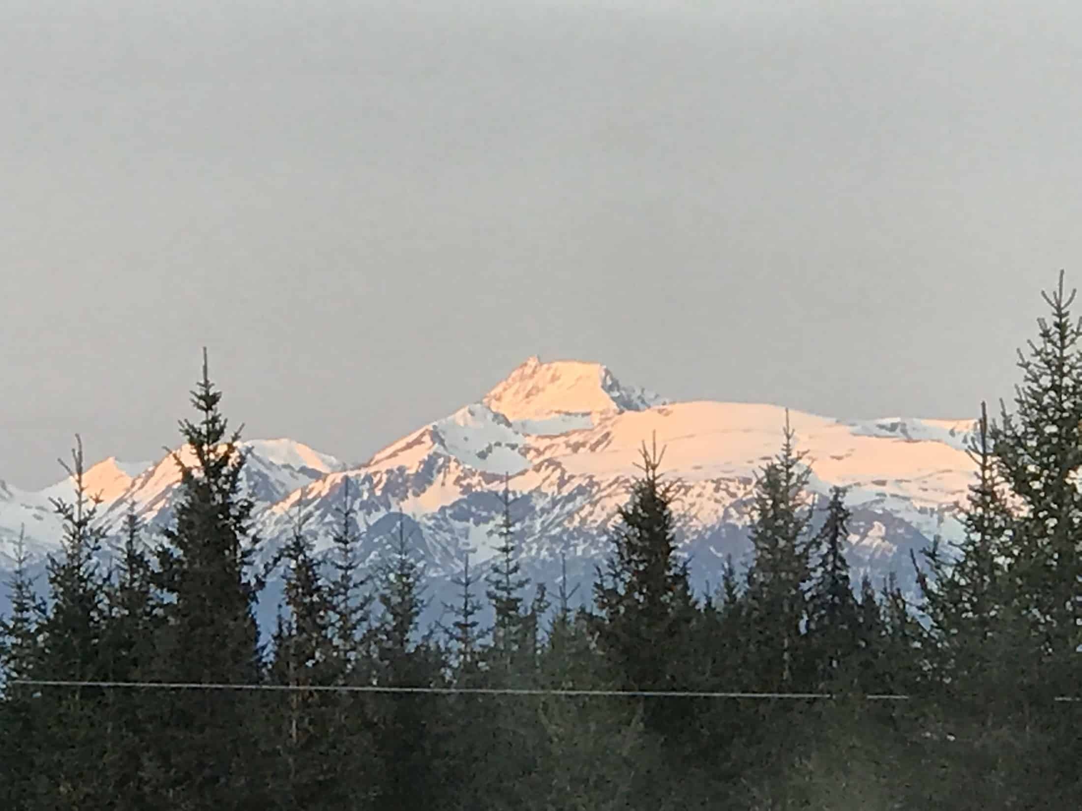 Large snow-capped mountain range with evergreen trees