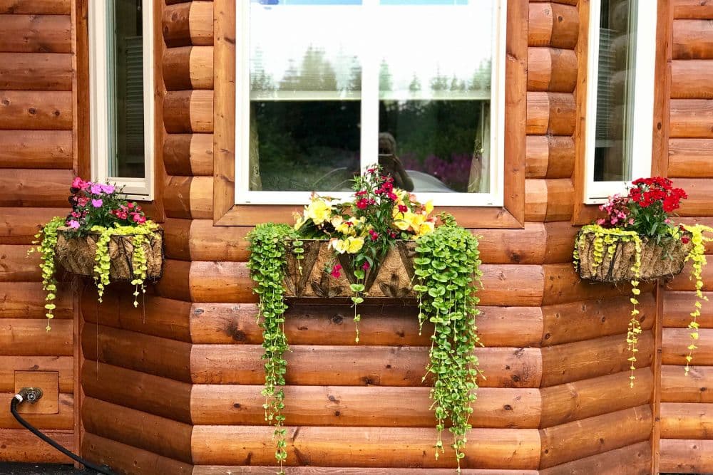 A large window of a log cabin with window boxes full of colorful flowers