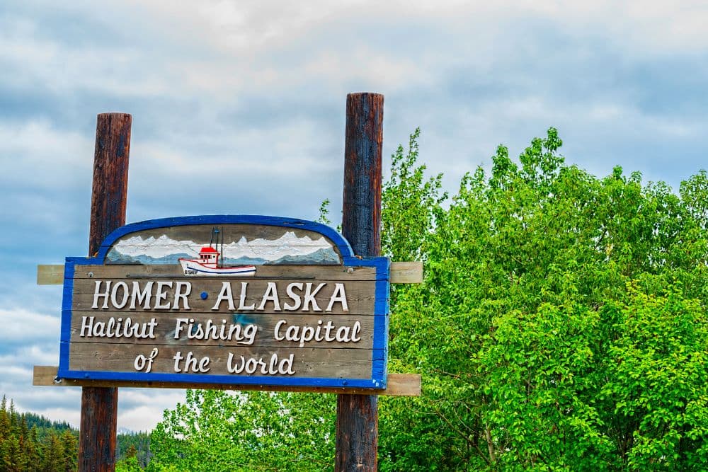 A large sign by a tree for a local town advertising being the halibut fishing capital of the world