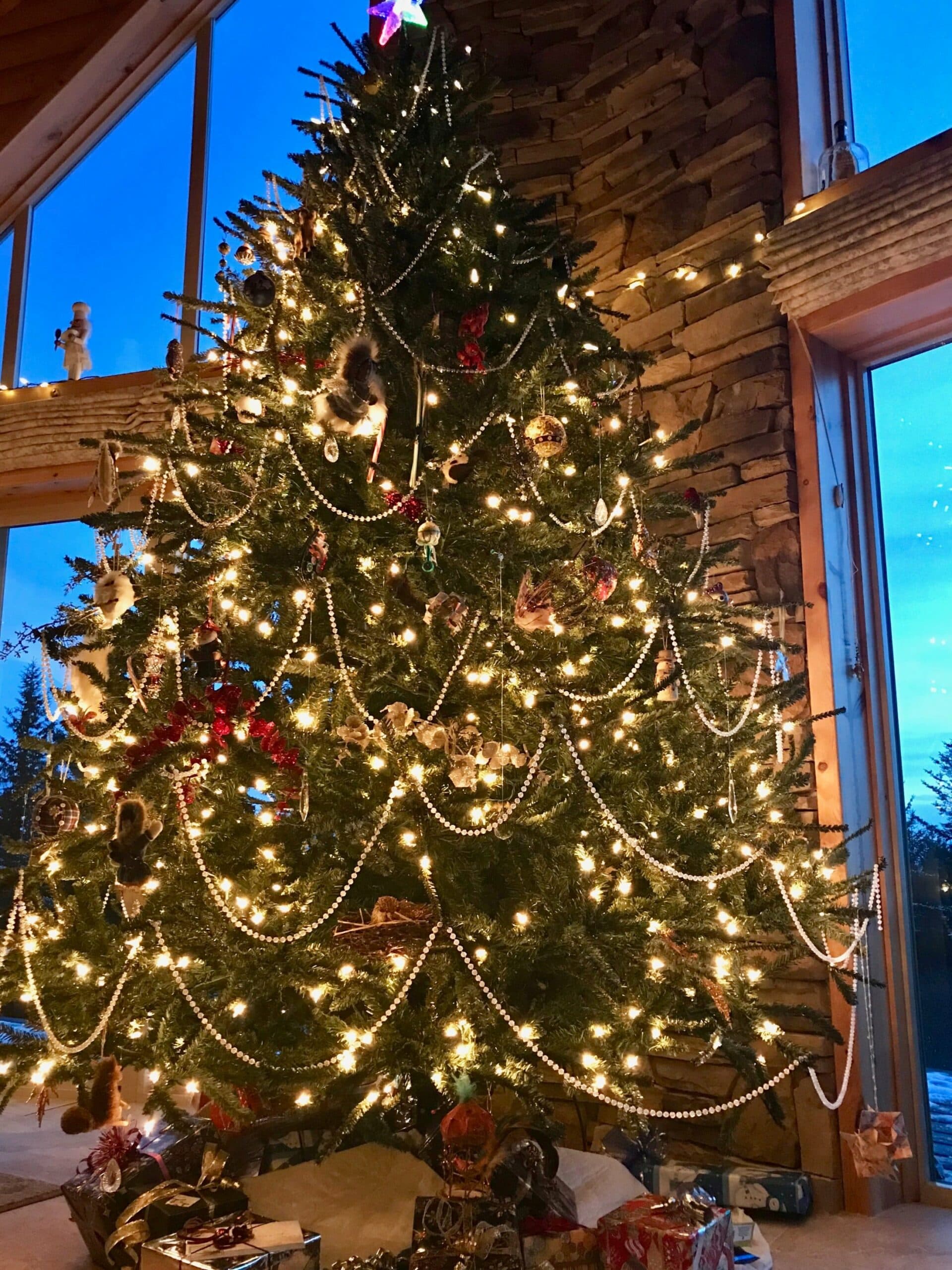 Large Christmas tree adorned with ornaments and lights in front of a window