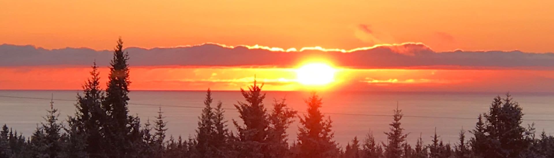 Golden sunset over an expansive landscape with evergreen trees