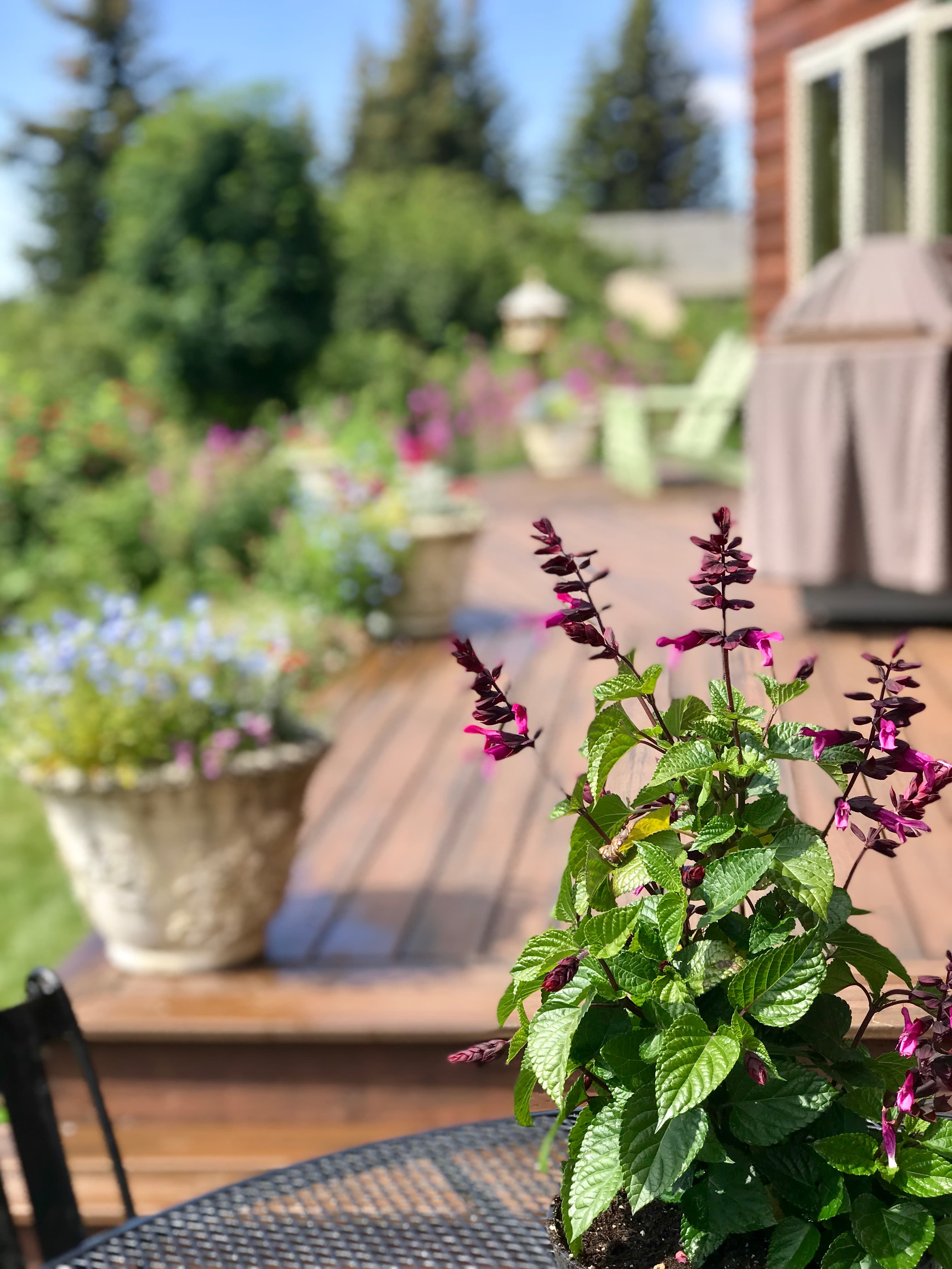 deck with table for four, 2 Adirondack chairs, and bbq plus amazing peaceful views