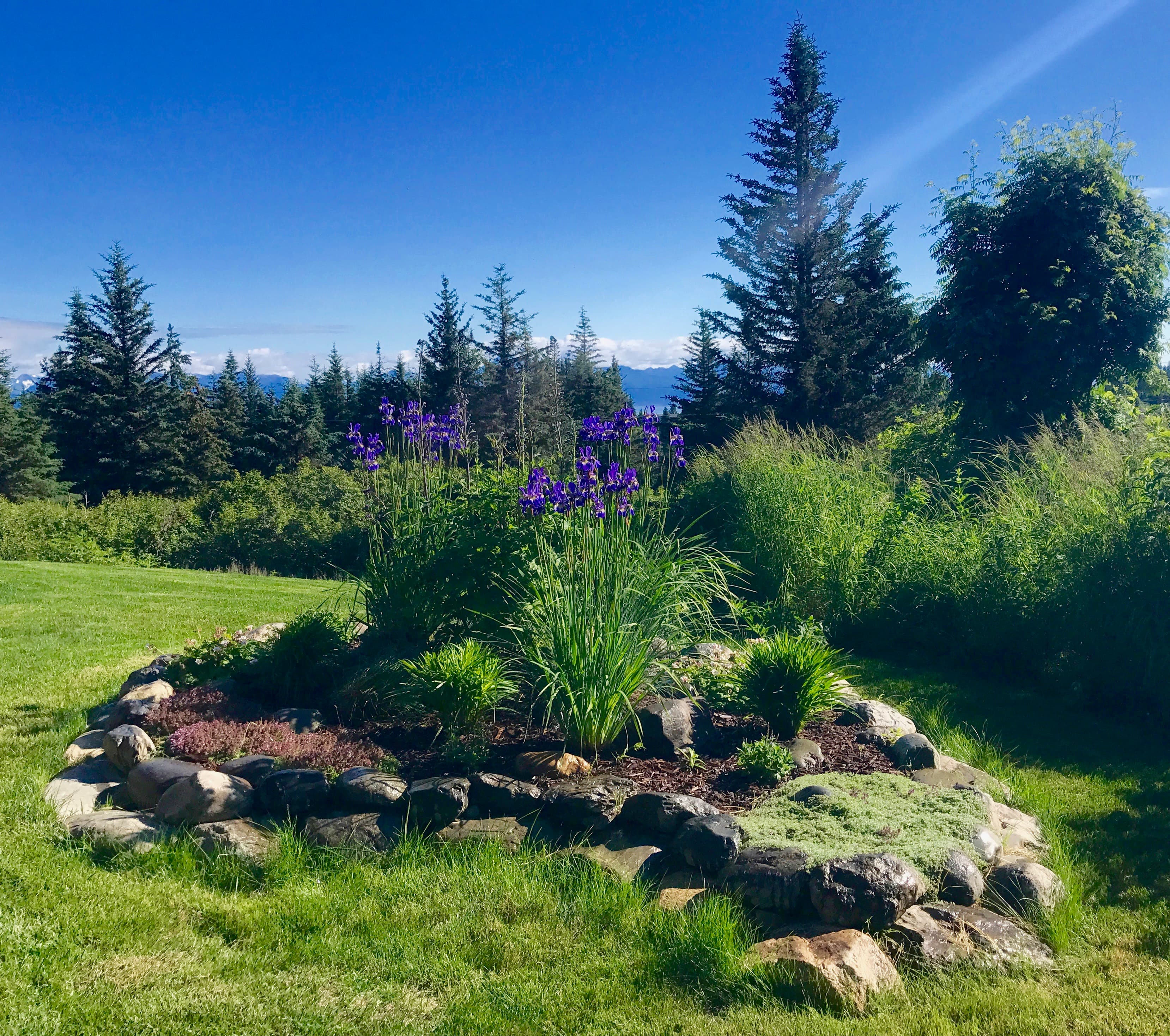 outdoor flower garden