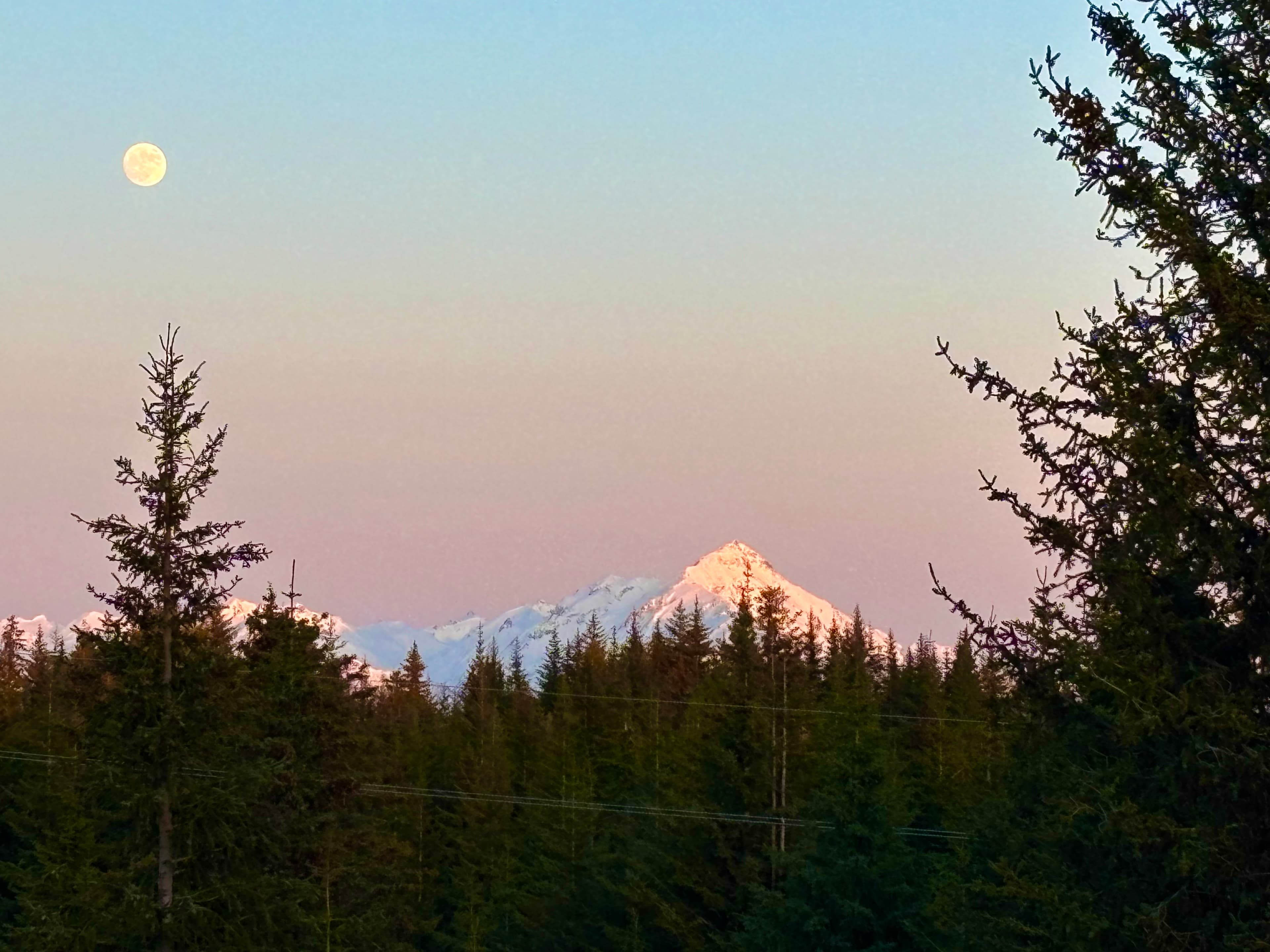 one of the views from dining table